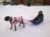 posh and callum in the snow.jpg