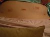DSCN2208.jpg