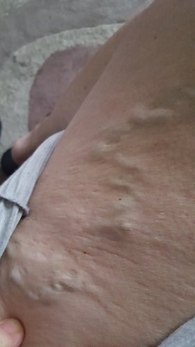 20170205_091403.jpg
