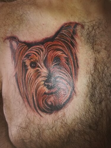 alf tattoo.jpg