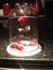 image-2754445080.jpg