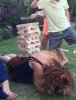 Jenga warrior queen 9 Aug 15.jpg