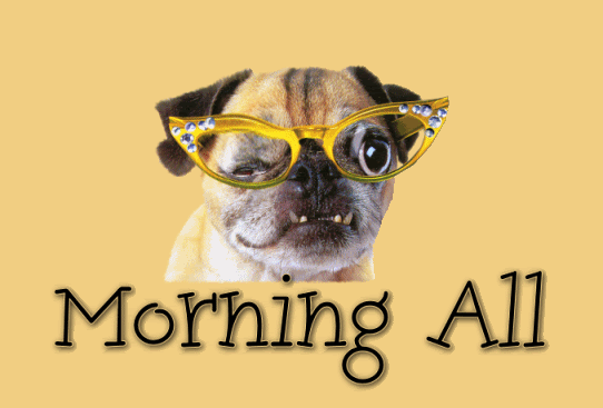 Morning.gif