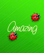 Amazing_.gif
