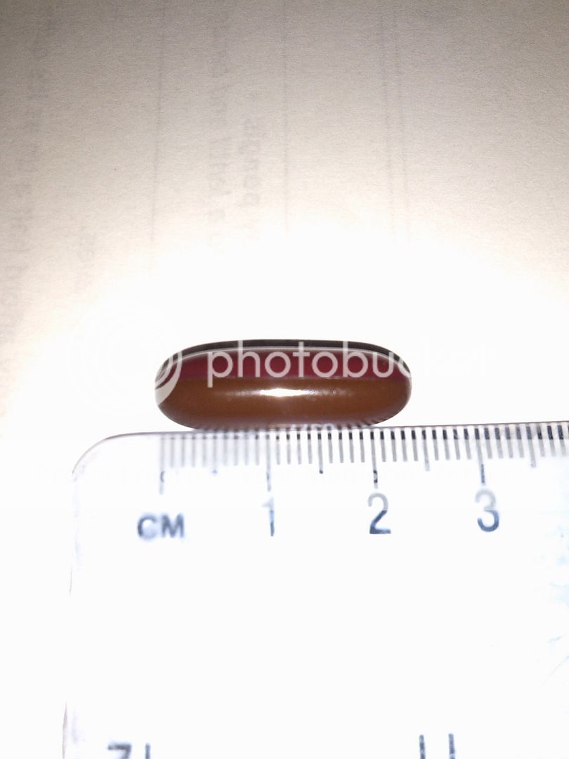 IMG_20121107_111339.jpg