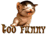 too20funny.gif