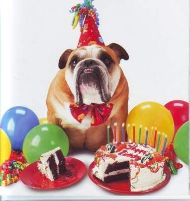 bb_Zelda_Happy_Birthday.jpg