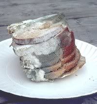 200px-Mouldy_bread.jpg