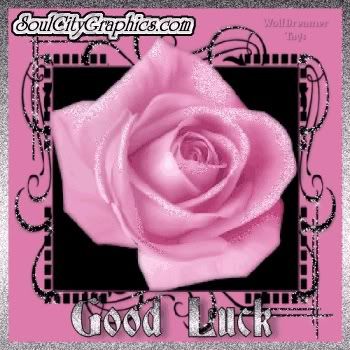 pink_rose_good_luck.jpg