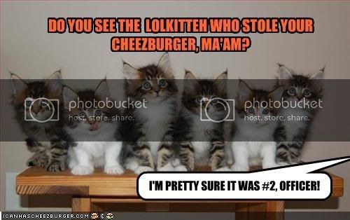 Stolencheezburger.jpg
