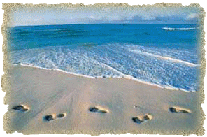 beachfoot.gif