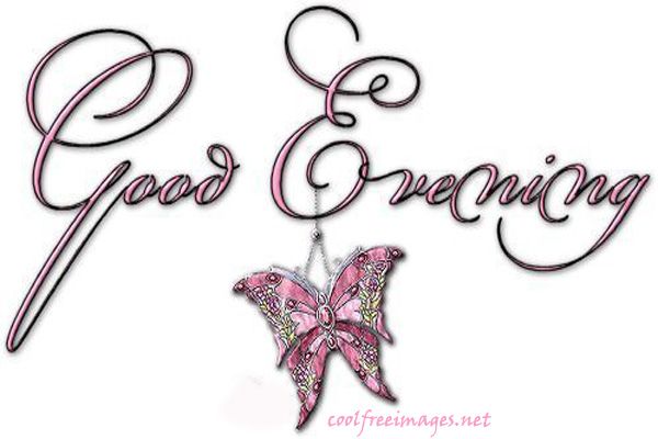 goodeveningbutterfly.jpg