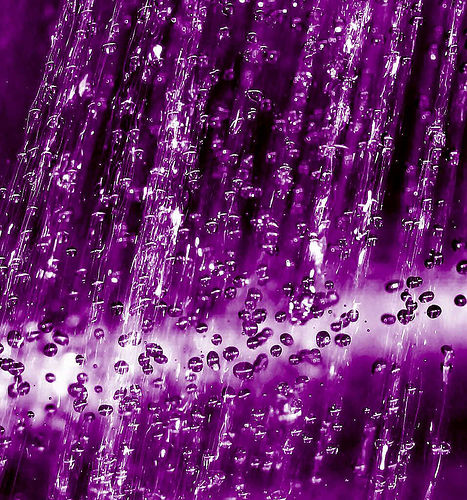 purple-rain-3.jpg
