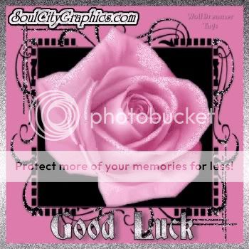 pink_rose_good_luck.jpg